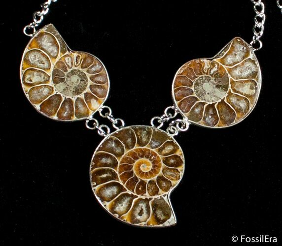 Triple Ammonite Necklace #2798